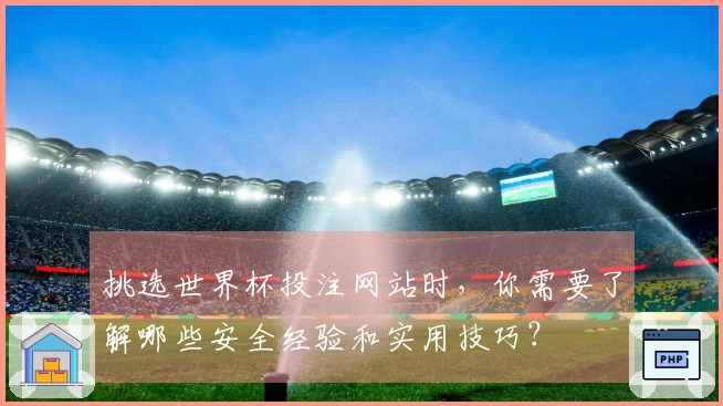 挑选世界杯投注网站时，你需要了解哪些安全经验和实用技巧？