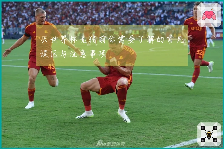 买世界杯竞猜前你需要了解的常见误区与注意事项