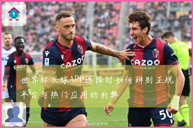 世界杯买球APP选择时如何辨别正规平台与热门应用的利弊
