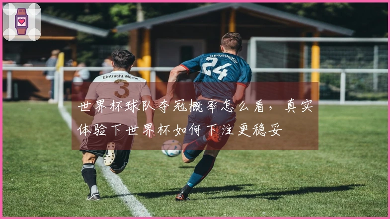 世界杯球队夺冠概率怎么看，真实体验下世界杯如何下注更稳妥