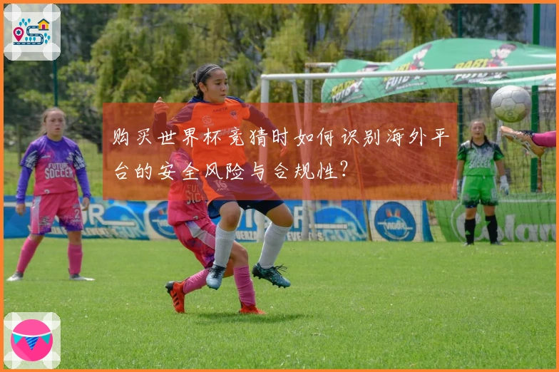 购买世界杯竞猜时如何识别海外平台的安全风险与合规性？
